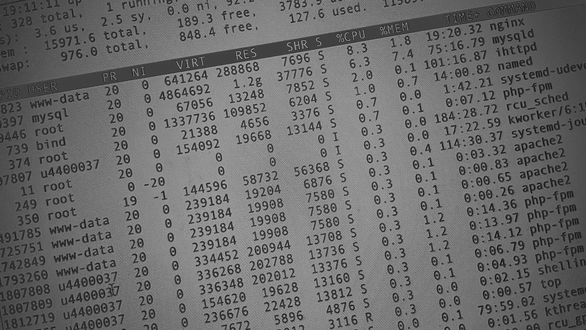 Настройка сервера в Болотном